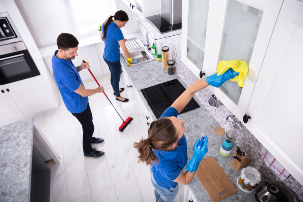 trabajadores-limpieza-profesional en Reduena